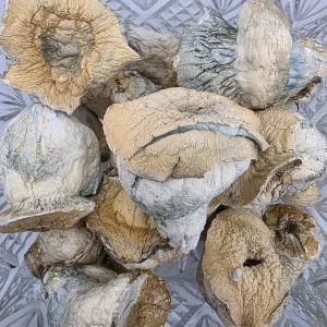 Hillbilly Bag Magic Mushroom - BUDDASH