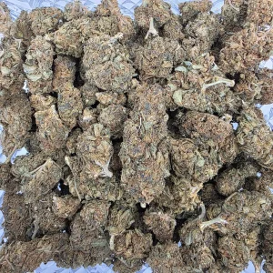 Seven Star (Greenhouse) Seven Star Bag Greenhouse - BUDDASH