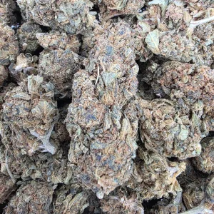 Home Seven Star Bud Greenhouse - BUDDASH