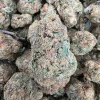 Birthday Cake Bud AAA+ - BUDDASH
