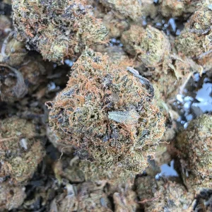 Bubba Kush Bud AAAA - BUDDASH