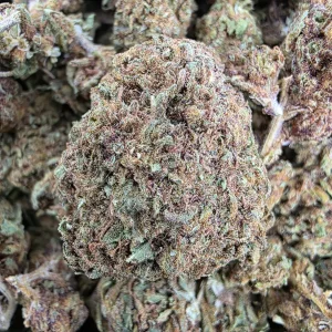 Home Critical Kush Bud AA - BUDDASH