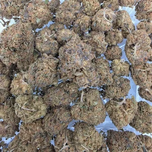 Death Gas Bag AAAA - BUDDASH