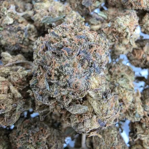 Death Gas Bud AAAA - BUDDASH