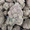 Exotic Gas Bud AAAA+ - BUDDASH