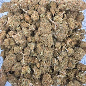 GS Kush cannabis flower in a resealable mylar bag