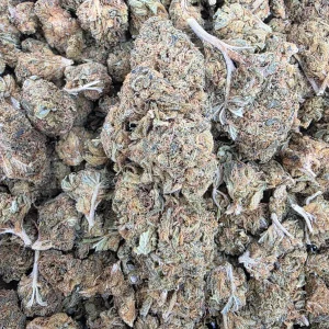 GS Kush Bud AA - BUDDASH
