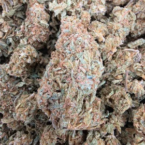 God Bud Bud AAA - BUDDASH