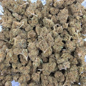 Gorilla Glue #4 cannabis flower in a resealable mylar bag