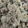 Gorilla Glue #4 Bud AAA - BUDDASH