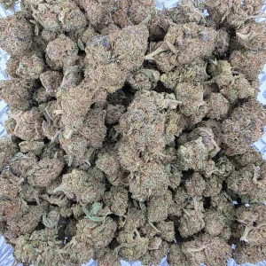 Grape Crush Bag AAA+ - BUDDASH