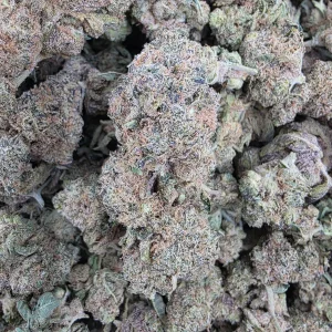 Grape Crush Bud AAA+ - BUDDASH