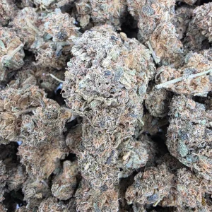 Ice Cream Cake AAA+ - BUDDASH
