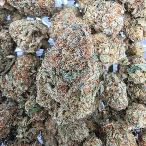 Miracle Alien Cookies Bud AAAA - BUDDASH