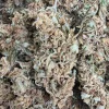 Meat Breath Bud Outdoor - BUDDASH