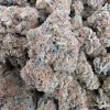 Mimosa Bud AAA+ - BUDDASH