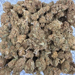 Original Ghost Bag AA - BUDDASH
