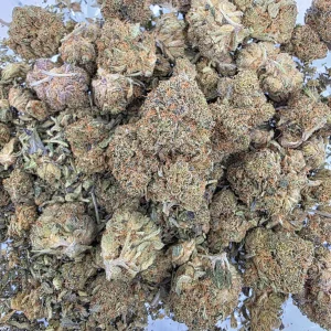 Pink Kush (AAAA) Pink Kush Bag AAAA - BUDDASH