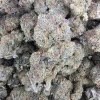 Pink Panties Bud AAAA - BUDDASH