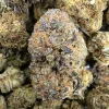 Rock Tuna Bud AAAA - BUDDASH