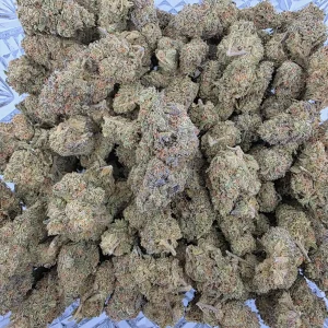 Slurricane Bag AAA+ - BUDDASH