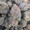 Tropical Cookies Bud AAA+ - BUDDASH