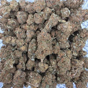 Zkittlez Bag AAA+ - BUDDASH