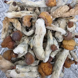 Penis Envy Bag - Bud Dash